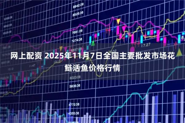 网上配资 2025年11月7日全国主要批发市场花鲢活鱼价格行情