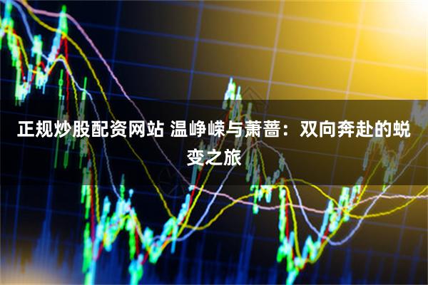 正规炒股配资网站 温峥嵘与萧蔷：双向奔赴的蜕变之旅