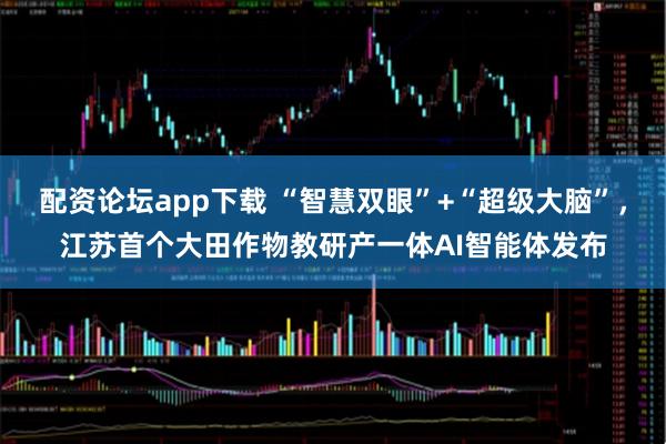配资论坛app下载 “智慧双眼”+“超级大脑”，江苏首个大田作物教研产一体AI智能体发布